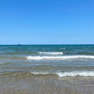 Meet your Posher, Isabella